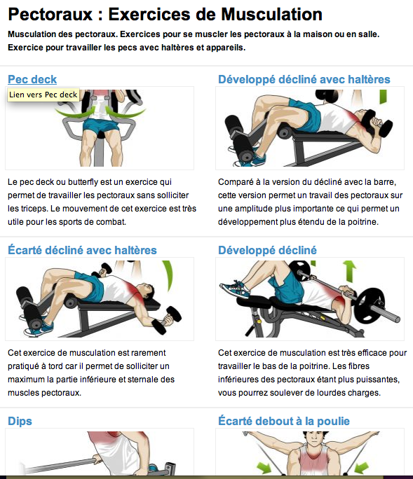 Espace Musculation : faîtes le plein de conseils, exercices et