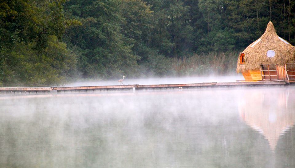 10172731_10152471567579104_6205972061572139593_n