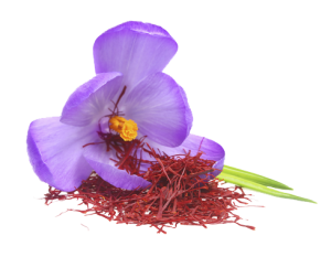 20170601132220-p6-document-oyik