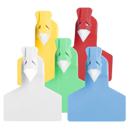 20171023085608-p5-document-qzyr