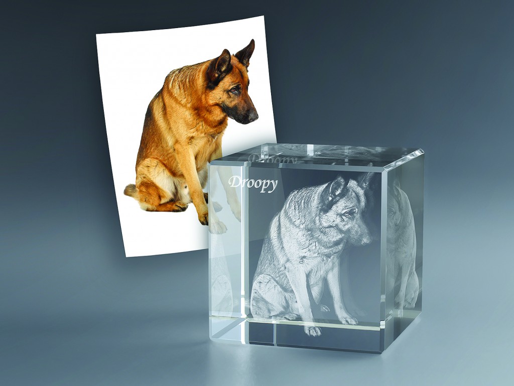 Cude-verre-3d-chien-Zephyr