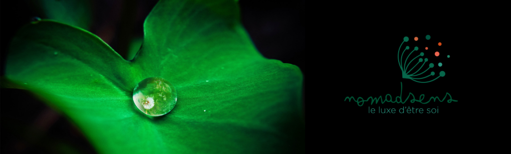 51138327_2301955923461308_1912003609206194176_o