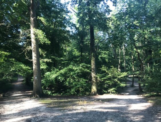 Avoir Images Gfsqdmlcg1xphm le plus cool