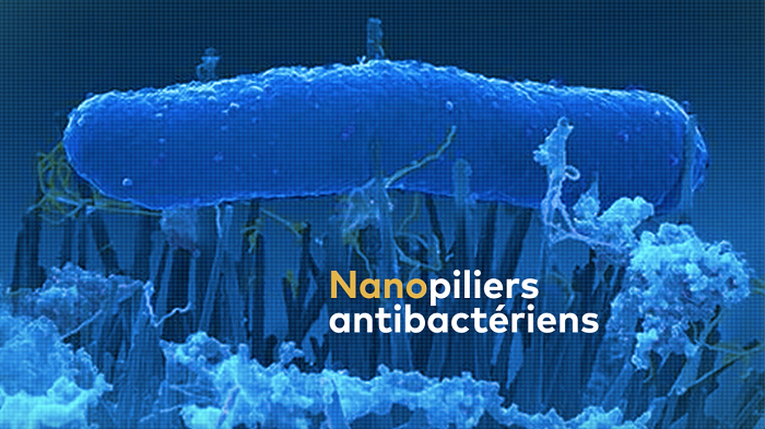 nanopiliers antibactériens
