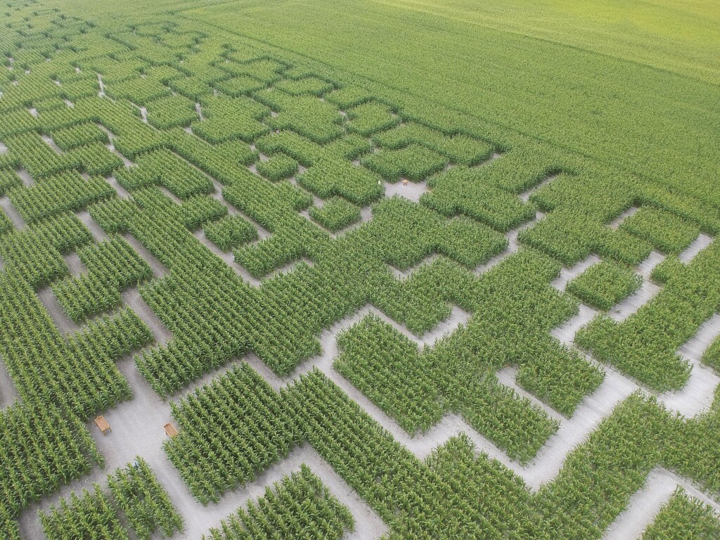 vue-aérienne-3-pop-corn-labyrinthe-web-min