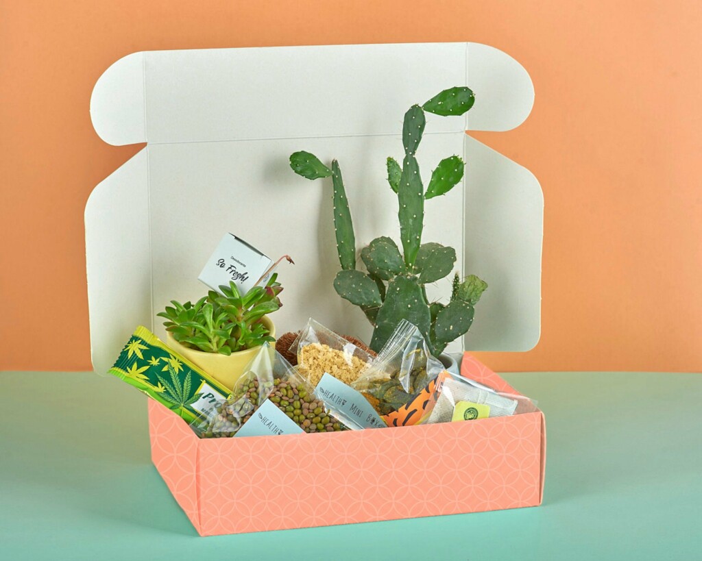 Box Ecoresponsable - Mini Healthy Box