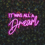'It Was All A Dream' LED Neon Sign