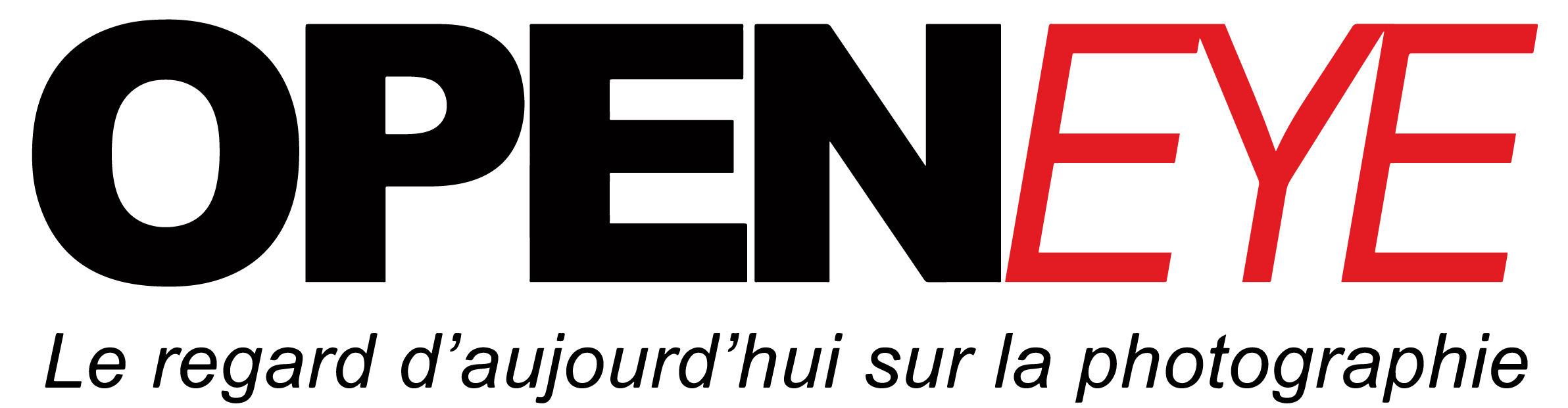 Logo OPENEYE Grand Modèle 2