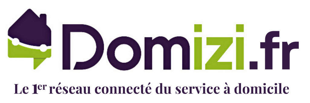 Logo-Domizi.fr-_1_