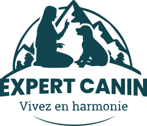 Comportementaliste Canin   : Agence RP