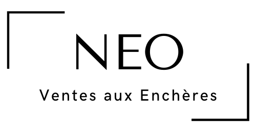 Logo NEO ENCHERES