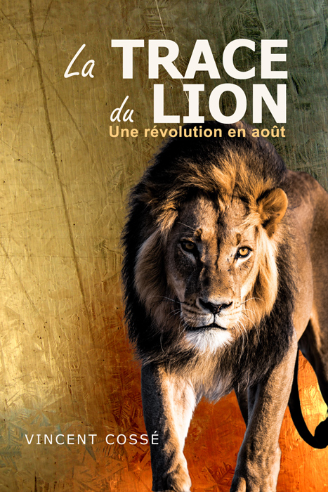 Livre - Disney cinéma ; le Roi Lion - Cdiscount Librairie