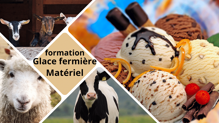 Thermomètre universel volaille bétail animaux fournitures d'alimentation  pour animaux de compagnie en gros peut également être utilisé dans la  cuisine
