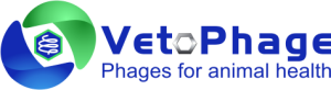 logo-ve-300x82