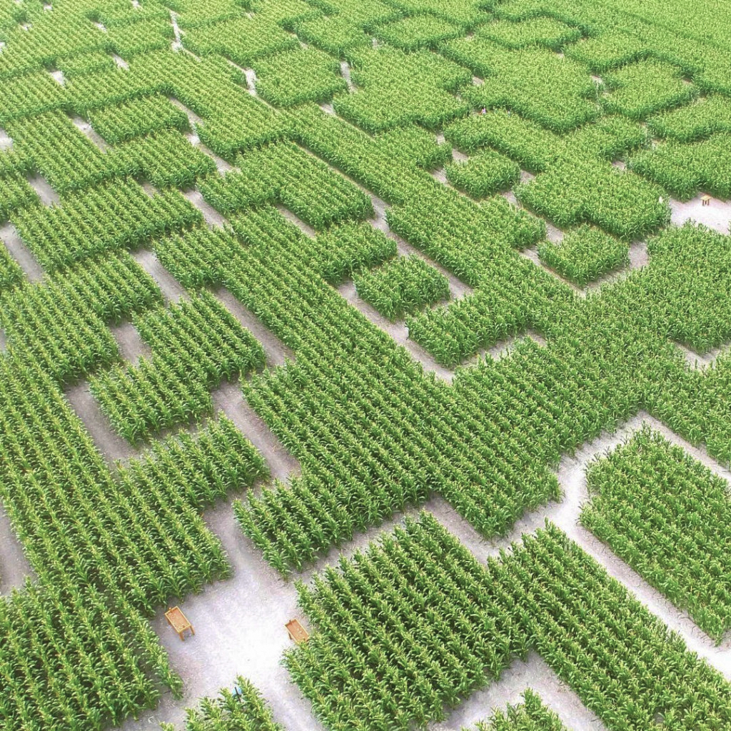 Visuel-haut-1024x10241-2