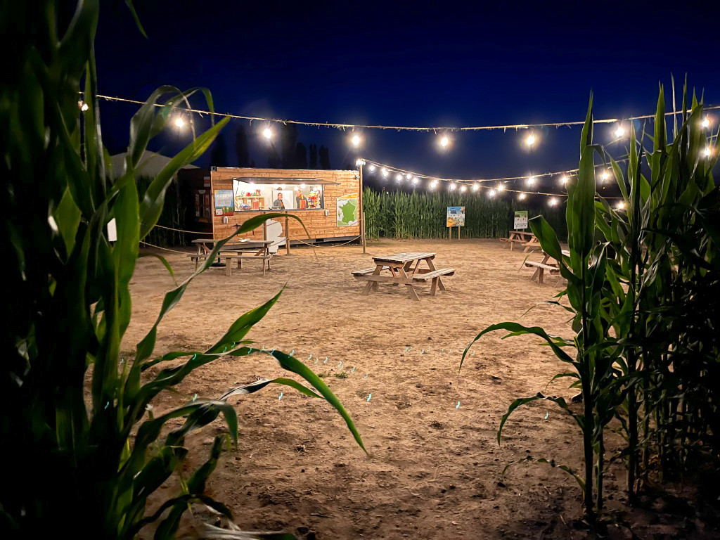 accueil-nocturne-lumiere