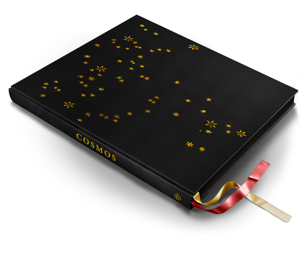 Cosmo-simulation+gant