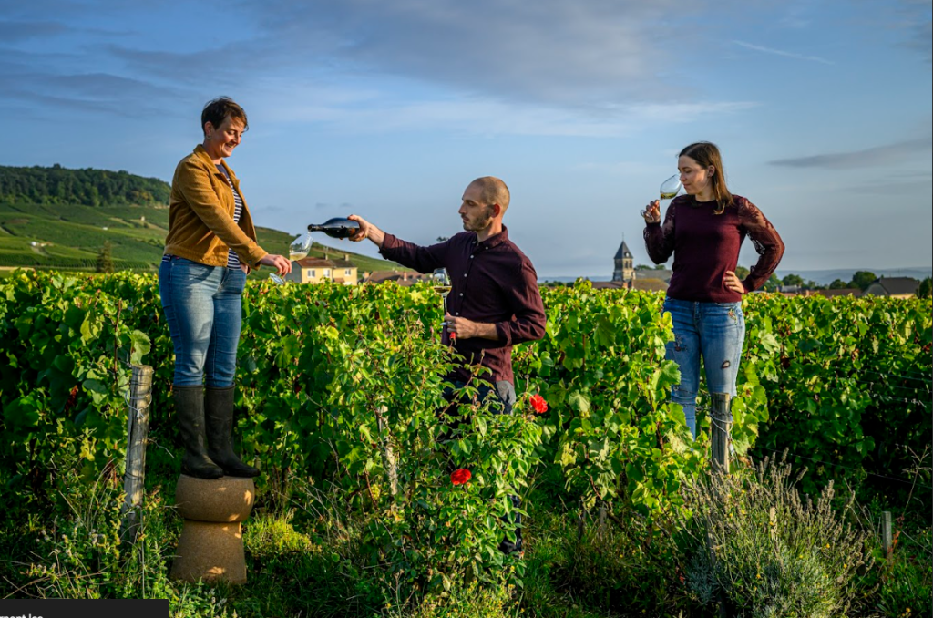 Capture d'écran 2025-05-02 095921