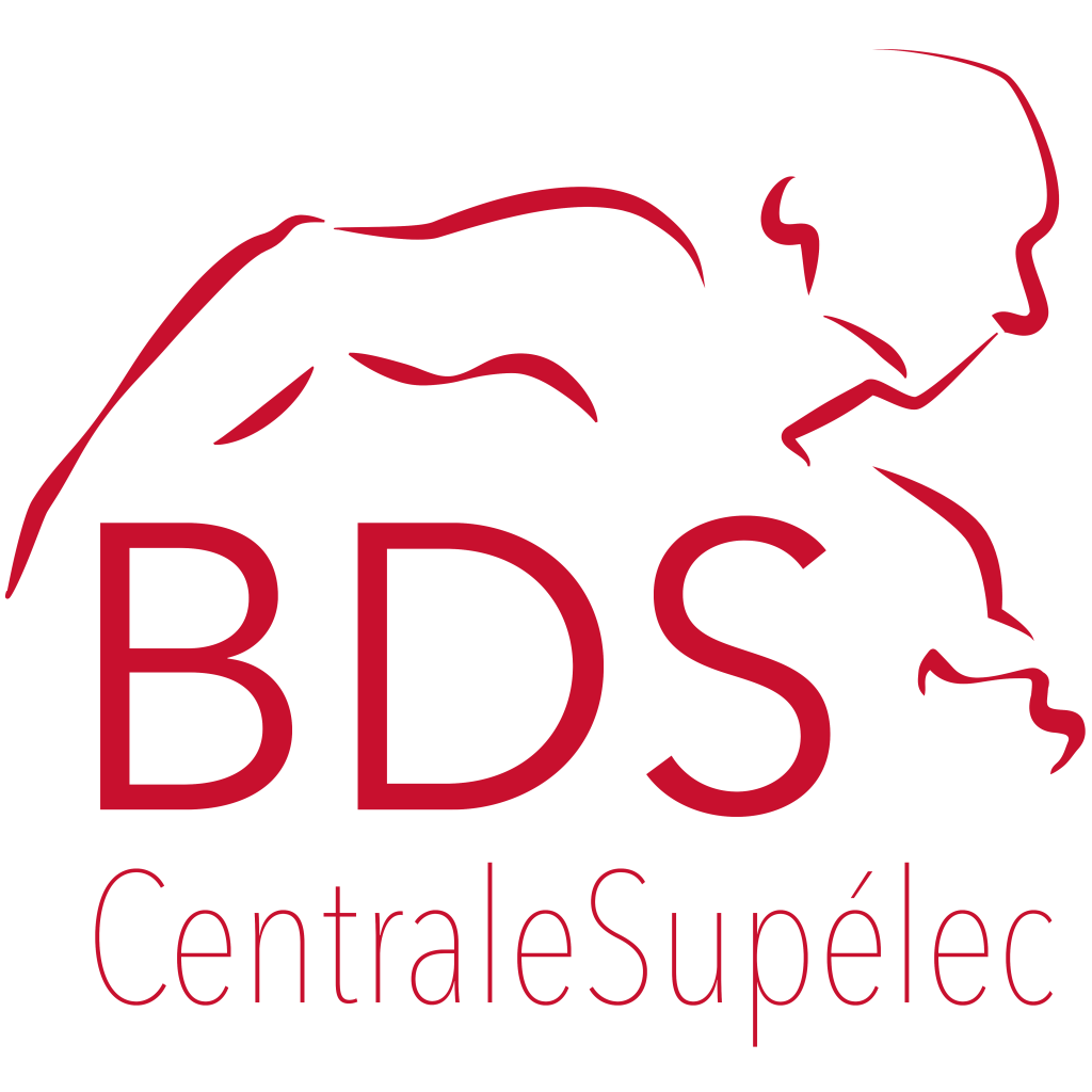 Copie de Logo_BDS_Rouge