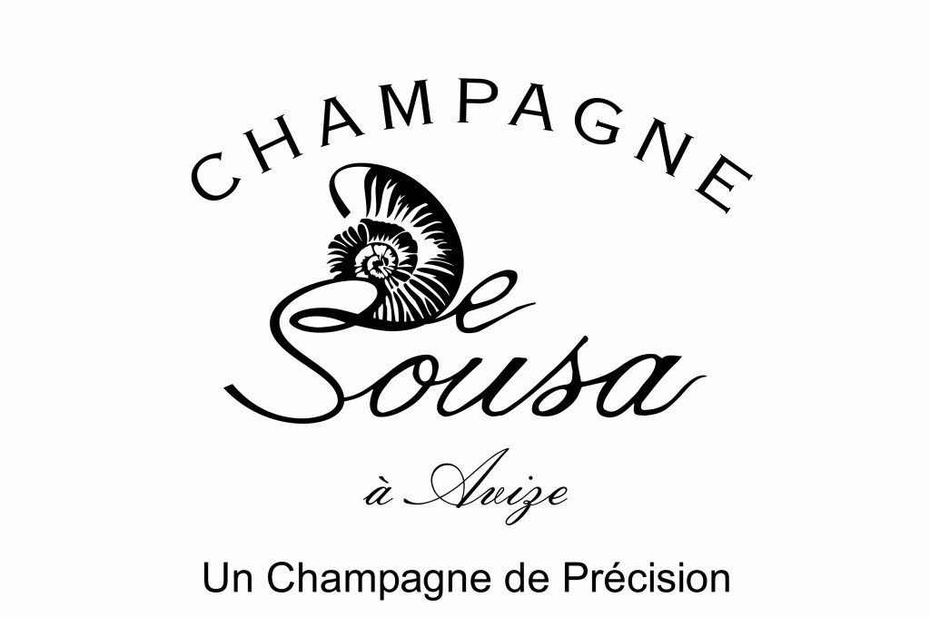 Copie de logo De Sousa HD - Copie