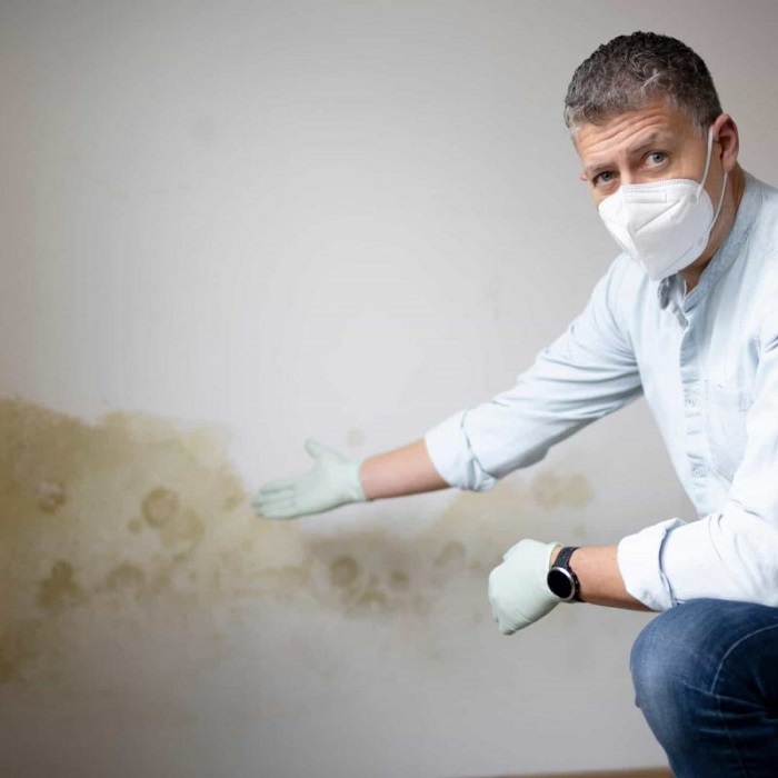 AdobeStock_480116816-scaled-min-1-800x800