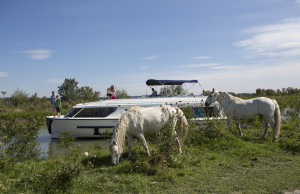 La Camargue en bateau sans permis Le Boat