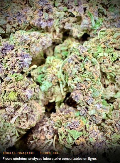 fleurs cbd