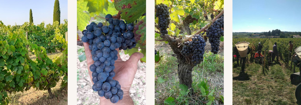 Capture-décran-2025-08-28-103356