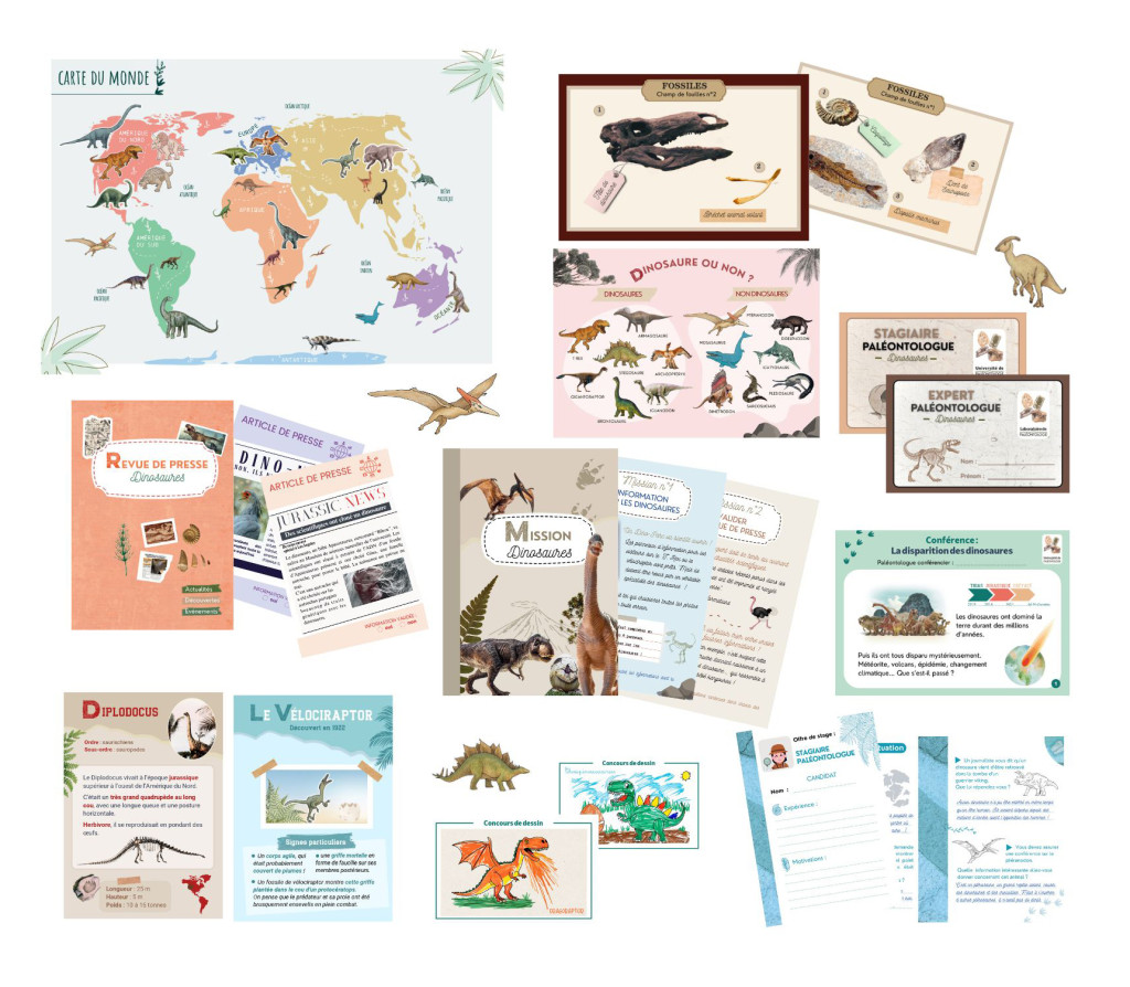 VISUEL ACCESS DINO - 1