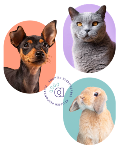 541950143_1352537676516934_4091928881682238953_n