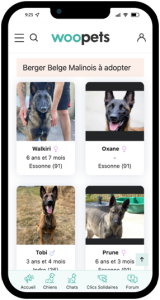 542089618_2994562604211625_9196410632845596807_n