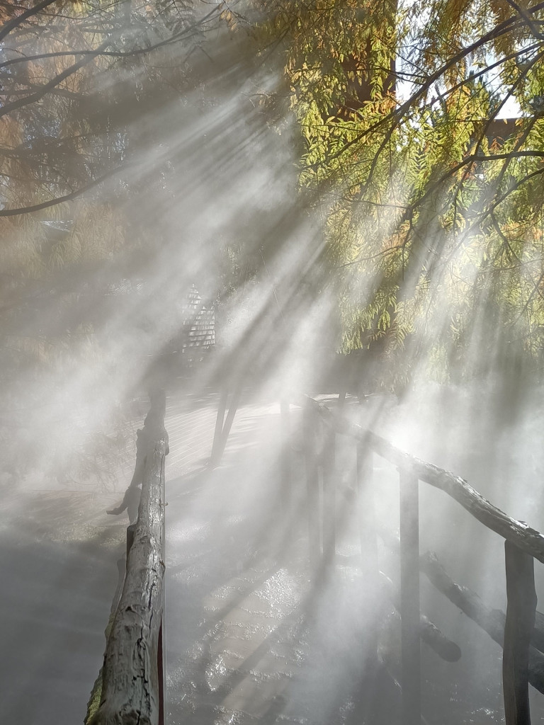 IMG20211101141801-scaled