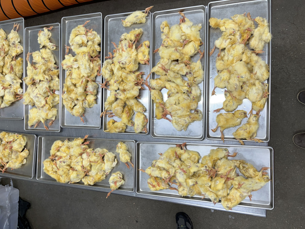 20250827130805-p1-document-vonu