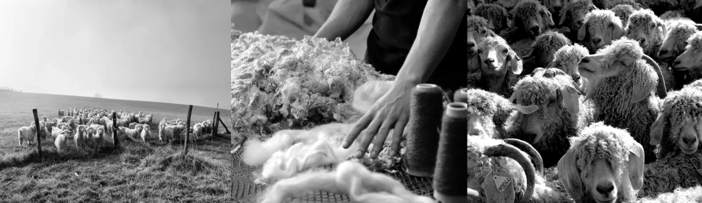 Capture d'écran 2025-10-28 105628