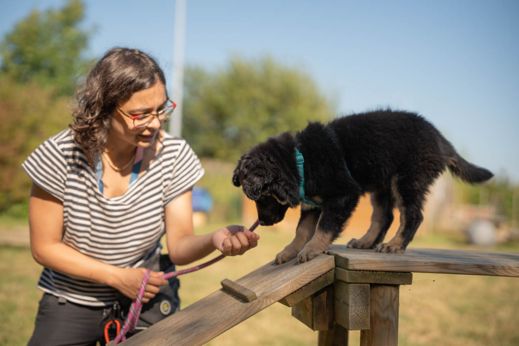 Plage - 04 to 06 aout 2024 (271)