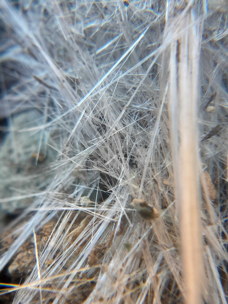 20221010121606-p6-document-mkdv