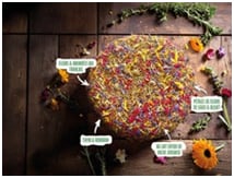 736ba9ae-fa62-4ee4-992c-843787299a88