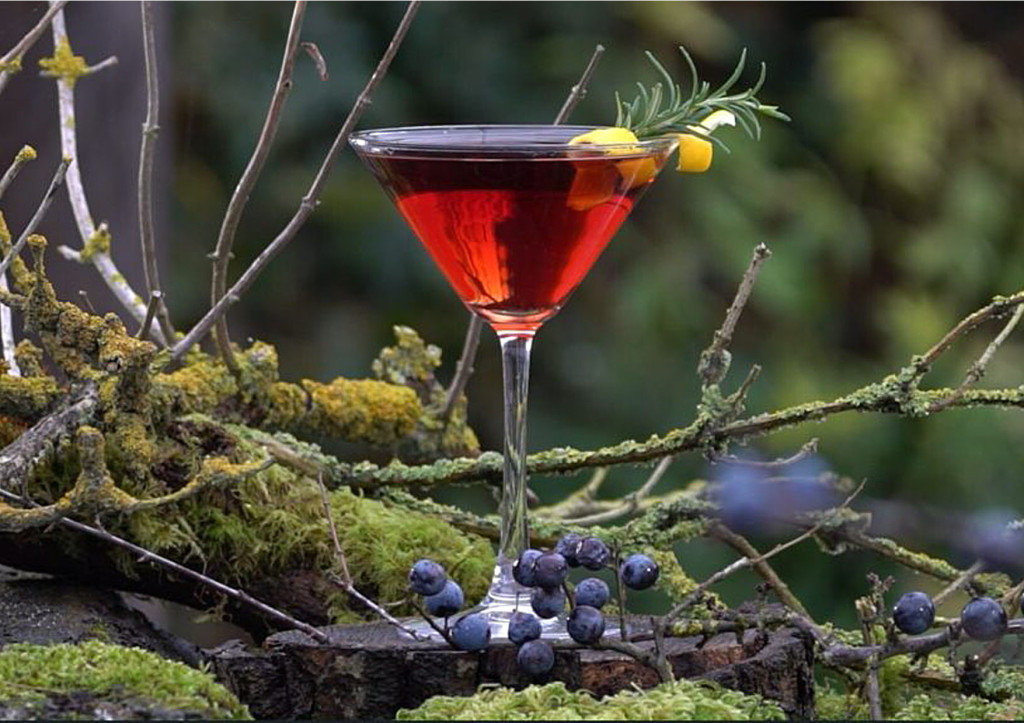sloe gin nature cocktail (1)