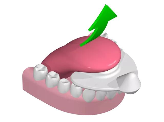 640_475-visuel-langue-3d-640_475-copie