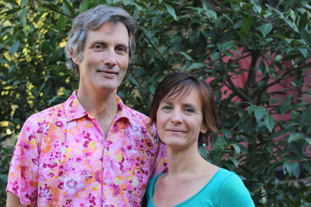 20251231080951-p1-document-sdio