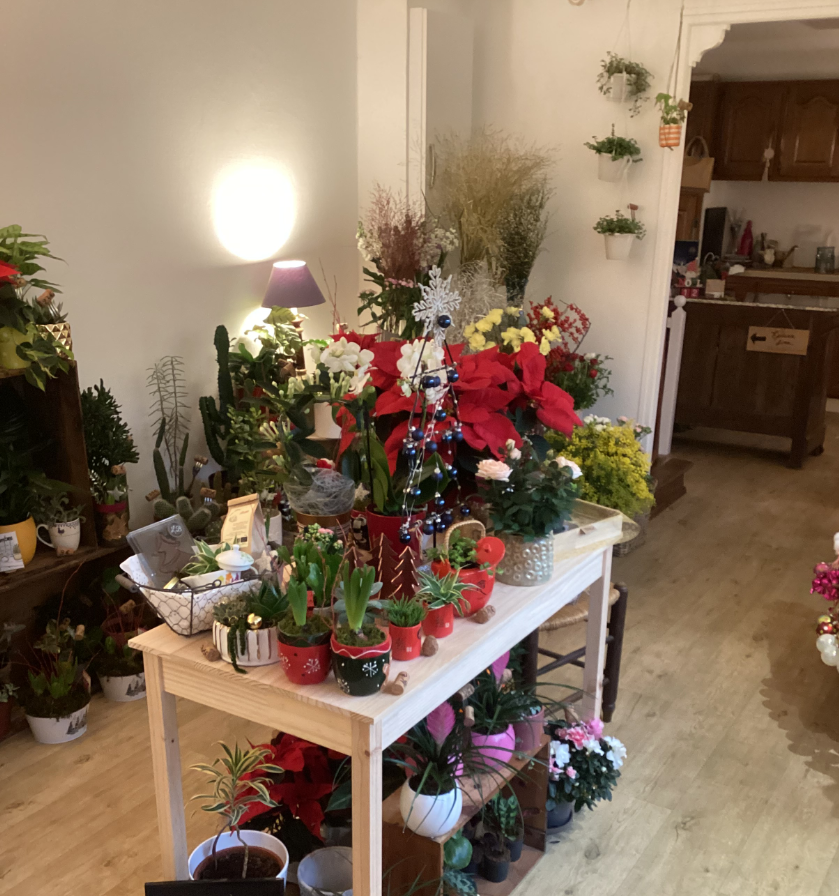 Capture d'écran 2026-01-20 091953