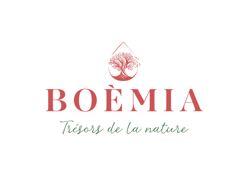 20260219164253-p2-document-wvlw (1)