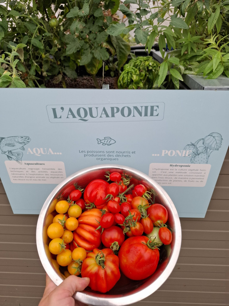 20240829_173048-scaled