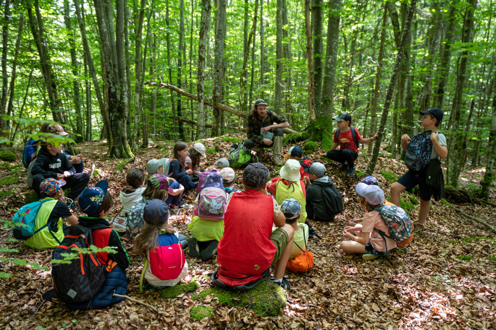 20260311100432-p4-document-slcz