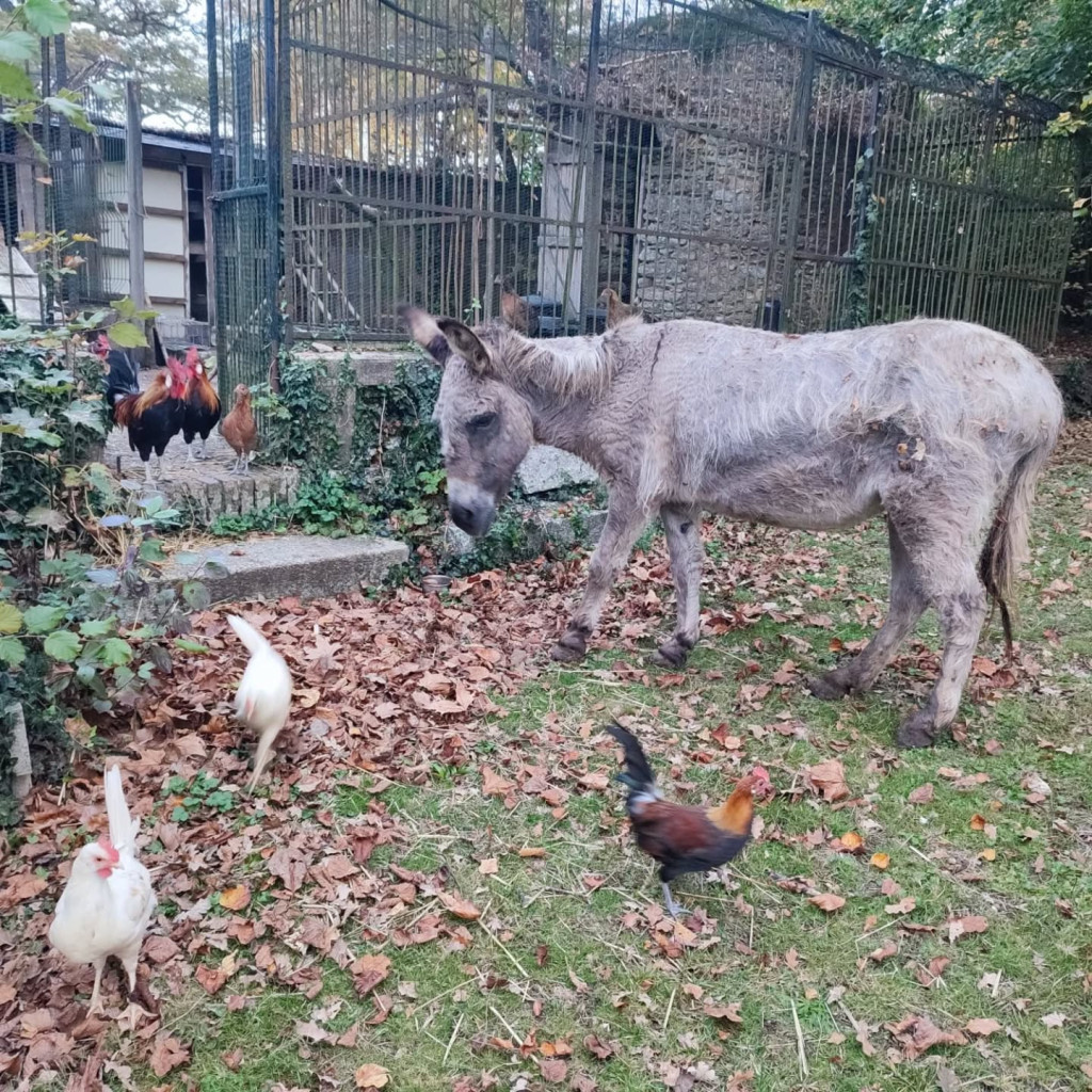 575213639_18327565777210228_8995830999663408848_n