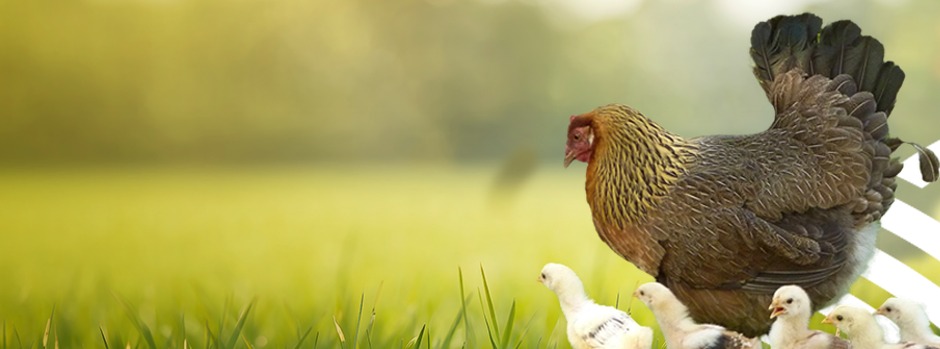 635126854_4116378561998824_7144064309666841614_n