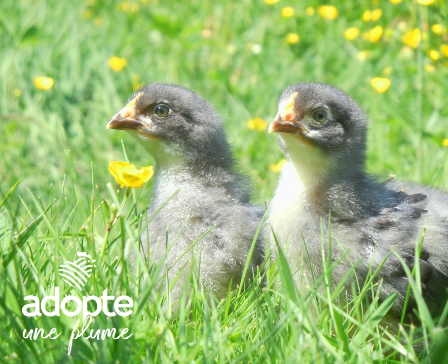 637102061_122100329781270900_7928282576511176686_n