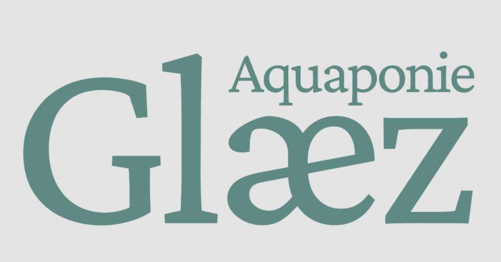 Capture d'écran 2026-03-04 163248