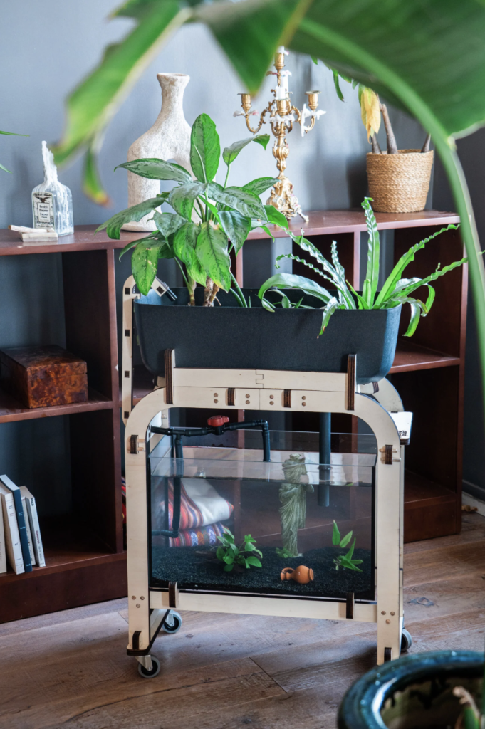 ©️ GLAEZ Aquaponie