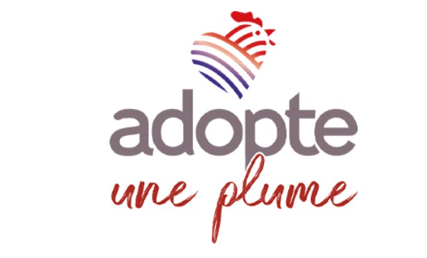 Capture d’écran 2026-03-13 101529